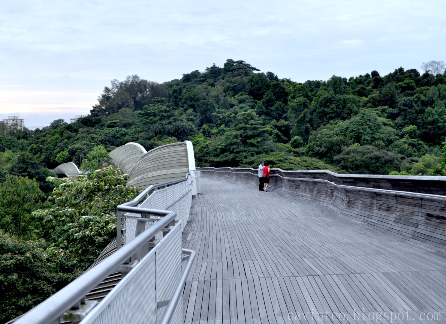 Entree Kibbles: Henderson Waves on a Sunday Morning [Part of Singapore ...